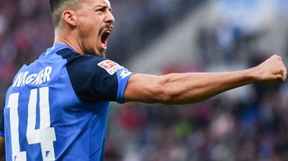 TSG 1899 Hoffenheim In Focus