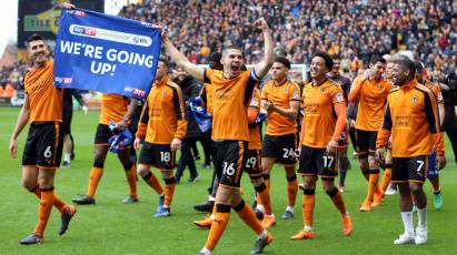 Wolverhampton Wanderers In Focus