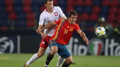 Bielik Eyeing International Bow With Poland