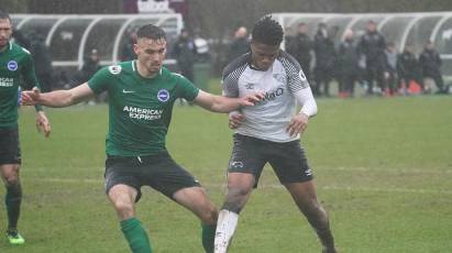 U23s suffer home defeat to Brighton & Hove Albion